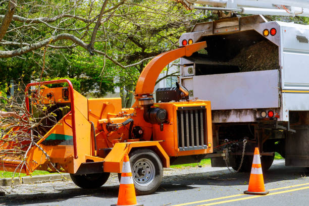 Best Emergency Tree Removal  in Heritage Lake, IL